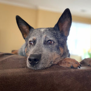 Meet your Posher, Gabriel